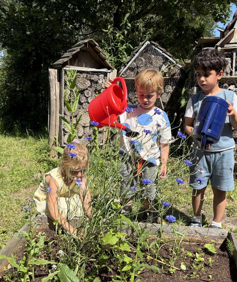 obs-de-schatkamer-kinderen-geven-planten-water-bij-insectenhotel